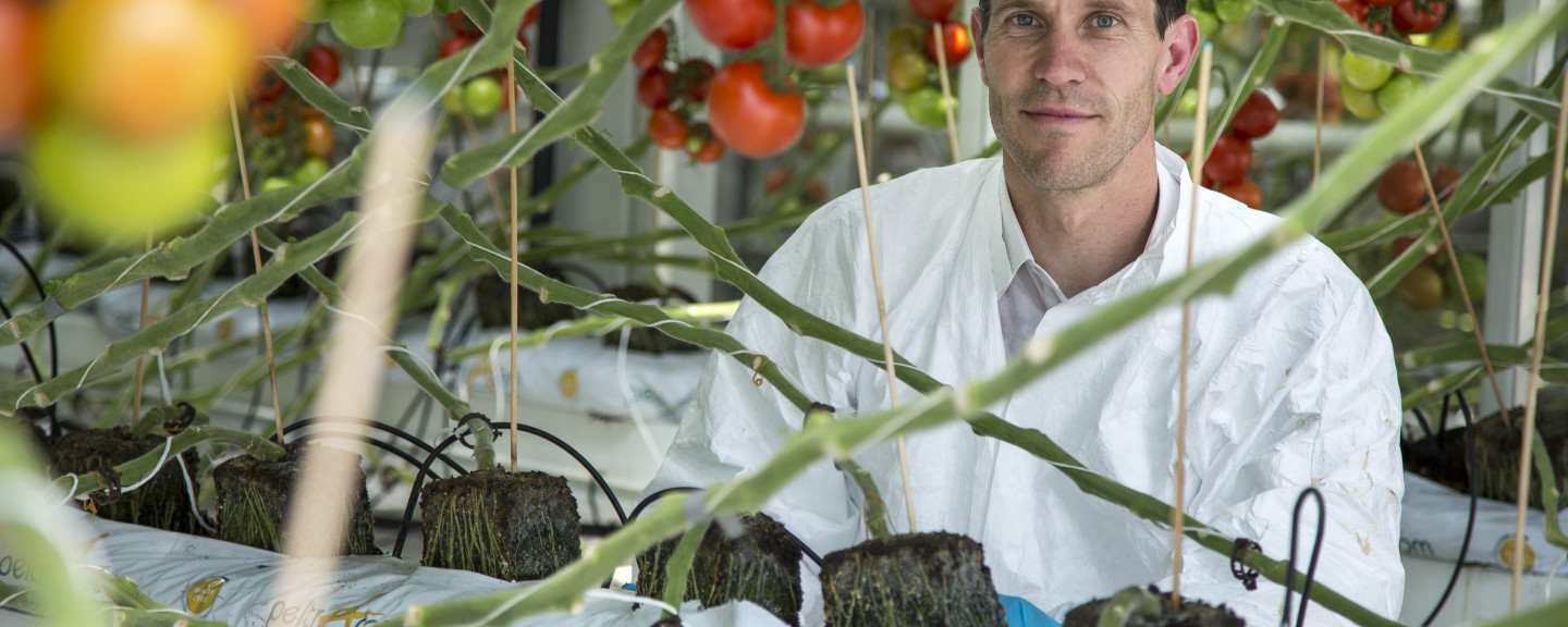 Ecologische oplossing met maximaal resultaat